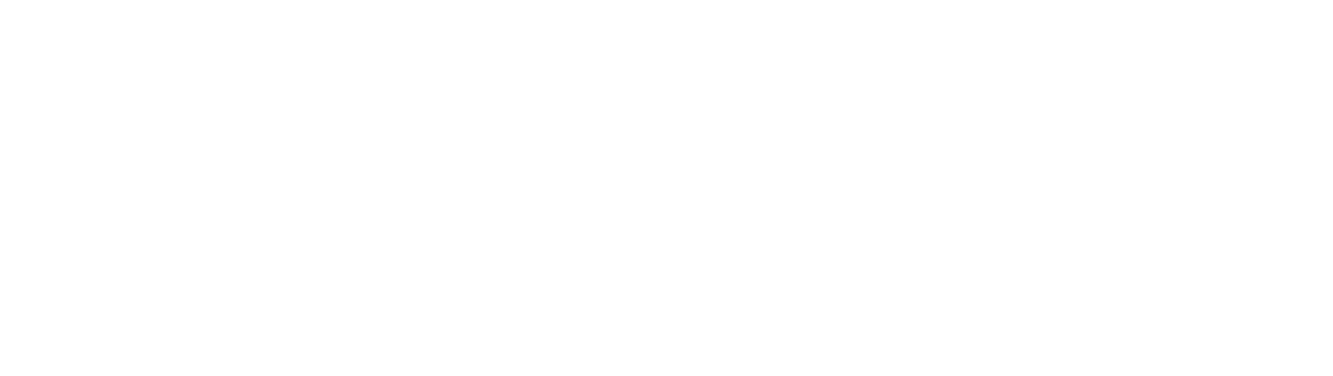 2Win logo25 white 2Win logo25 white